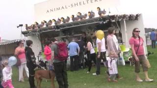 The Orsett Show 2014