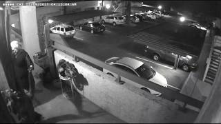 Patricia Giguere caught urinating on and vandalizing neighbor's porch!