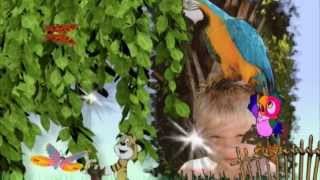 Моему внуку- С Днём Рождения!