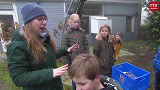 ROEG Junior: natuurschilderijtjes maken