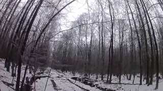 Зимняя загонная охота на кабана выстрел картечью по "линии" номеров.... (dangerous shot)野猪捕猎在俄罗斯