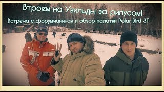 Втроем на Увильды за рипусом. Встреча с форумчанином+обзор палатки Polar Bird 3T