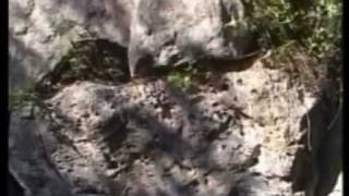 Talaiots 3º