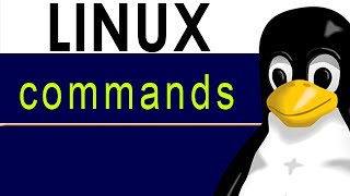 Linux commands [^] How to exclude characters from a range. WILDCARDS