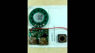 10sec 12KHz postcard voice module---- button activated type
