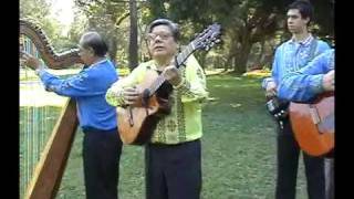 Lo mejor de la música paraguaya - 5a. Parte