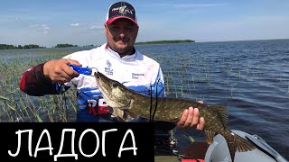 Рыбалка на щуку. Назия. Ладожское озеро