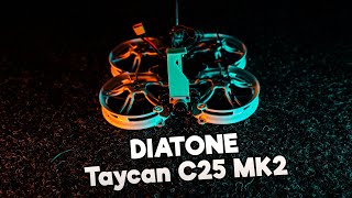 Пластиковый синевуп. А фишка ли это? [Diatone Taycan C25 MK2]