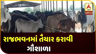 Gandhinagar: A Cowshed Has Been Made In Raj Bhavan | ABP Asmita