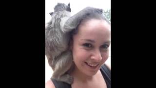 Lopburi Monkey Town Temple Thailand