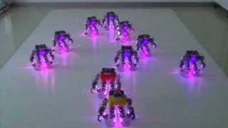 RoboBuilder Xmas Dance Routine
