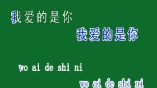 pin yin 我爱的是你 wo ai de shi ni