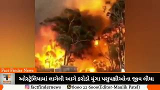 ઓસ્ટ્રેલિયામાં લાગેલી આગે કરોડો મૂંગા પશુપક્ષીઓના જીવ લીધા