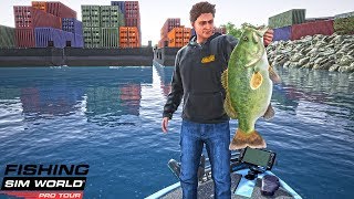 CAUGHT MASSIVE 13 LB BASS | (BASS FISHIN') | FISHING SIMULATOR