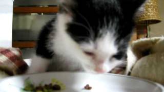 ゆりちゃん　　涙の食事     Tearful Meal