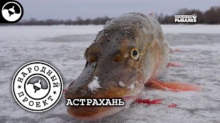 Первый лёд. Астрахань | Народный проект ©