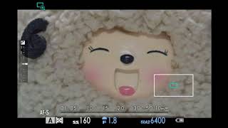 Sigma 135 f/1.8 ART tuned for PDAF on FX camera with Steelsring EF/FX adapter