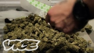 How to Sell Drugs