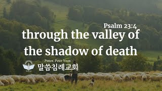 시23편 강해(07) 사망의 그늘진 골짜기(시 23:4), 말씀침례교회(LA 킹제임스 성경), Pastor. Peter Yoon