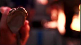 The New Pornographers - Failsafe (music video)