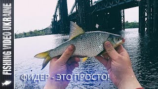ПРОСТАЯ ФИДЕРНАЯ РЫБАЛКА НА СТАРОМ ДОБРОМ МЕСТЕ | FishingVideoUkraine