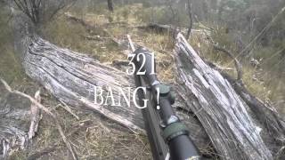 Hunting NSW 2016 Gopro Goats Pigs Deer