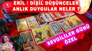 TAROT / ERİL DİŞİL DUYGULAR , ANLIK DURUMLAR 14 ŞUBAT ÖZEL