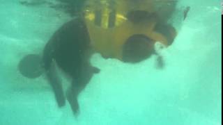 Fisher Swimming