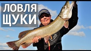 Ловля щуки. Средняя Волга. Джиг. Крупные приманки.