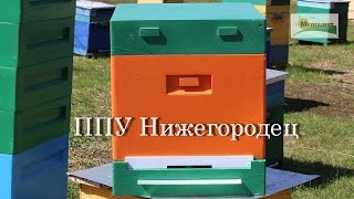 Обзор ульев из ППУ Нижегородец