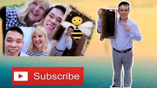 HOW TO HARVEST HONEY BEE IN KUWAIT  #OFWLIFE
