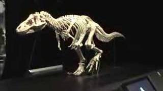 Moving T-Rex Model