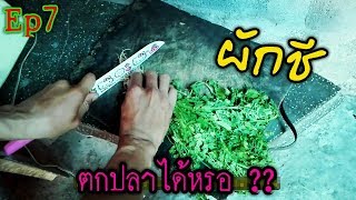 Ep7 สปิ๋วหมายธรรมชาติด้วยเหยื่อผักชี ตกไม้ตาย หมายฝายเก็บน้ำ