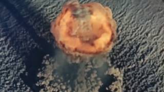 Мопс  пердит на скрытую  камеру