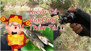 Câu Lure Cá Lóc | Kiếm Cá Vía ông Thần Tài |Snakehead - Lure Fishing #62