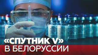 В Белоруссии начали испытания российской вакцины от коронавируса на добровольцах