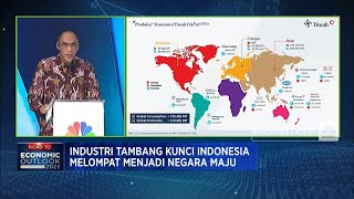 Bos TINS Ungkap Potensi "Cuan" Hilirisasi Timah Jokowi, Apa Saja?