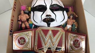WWE Action Figures | WWE Wrestling Toys | Sting Mask | Box of Toys