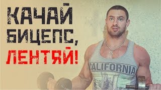 Упражнения на бицепс. Как накачать бицепс дома?