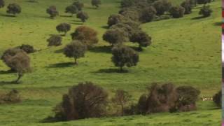 En Tu Ausencia film theme II