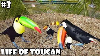 Ultimate Bird Simulator - Life of Toucan -  Android/iOS - Gameplay Part 3