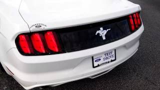 Paula's 2017 Ford Mustang Couple By Marquis Elmore