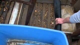 Gold Mining