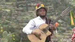 waylla ichu de huancapi - pum pin fajardino - ayacucho