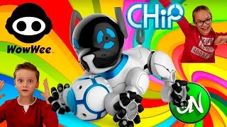 Обзор CHIP WOWWEE