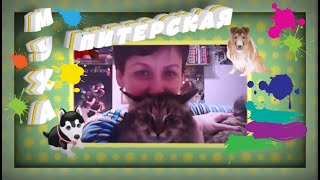 Муха Питерская: { Поймите, люди! }. Питер