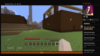 MineCraft