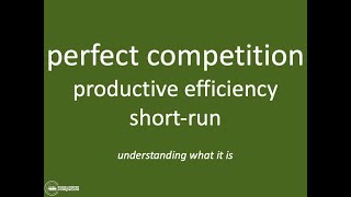 Productive Efficiency in Perfect Competition  |  Theory of the Firm