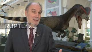 Hundreds of dinosaur footprints discovered in Poland's Borkowice