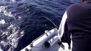 JIGGING ΨΑΡΕΜΑ FISHING GREECE ΣΥΝΑΓΡΙΔΑ MAGIATIKO TSAOYSIA TONAKIA